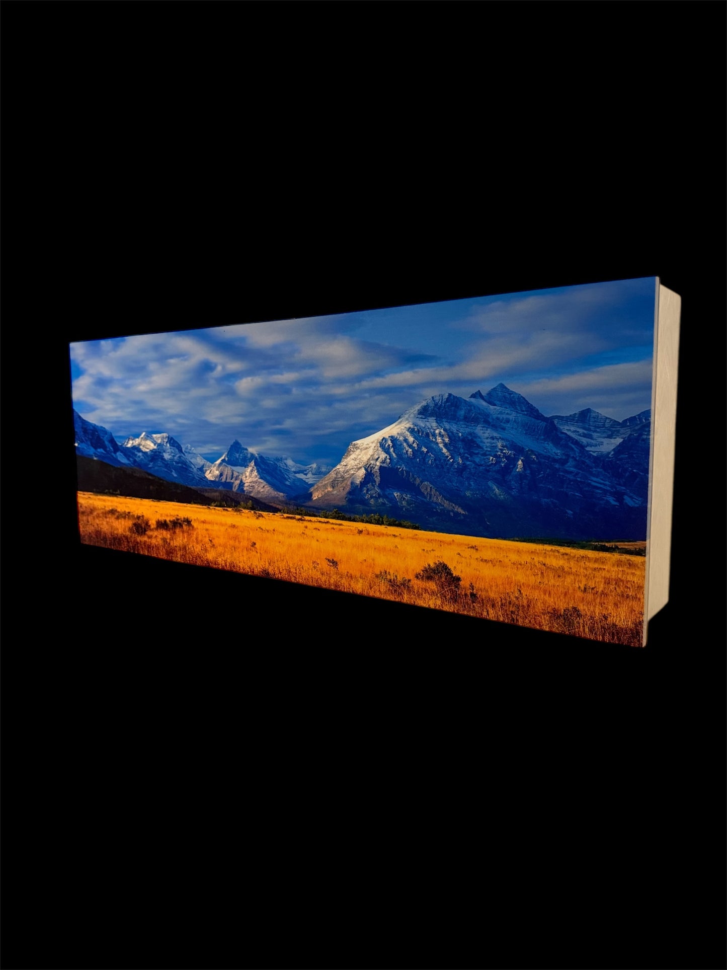 Large Size Concealment Cabinet