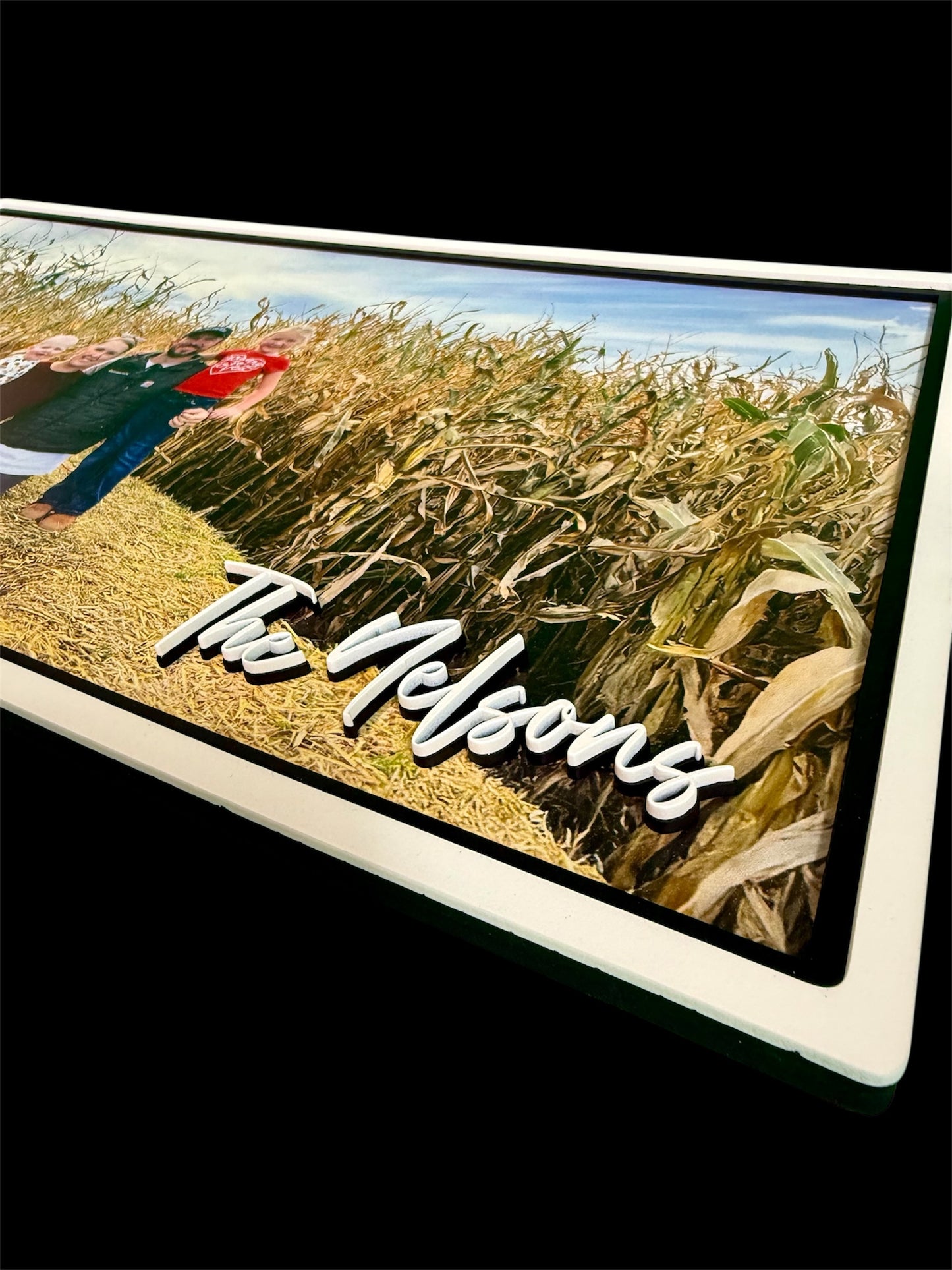 Custom Printed Montana Shaped 3D Signs