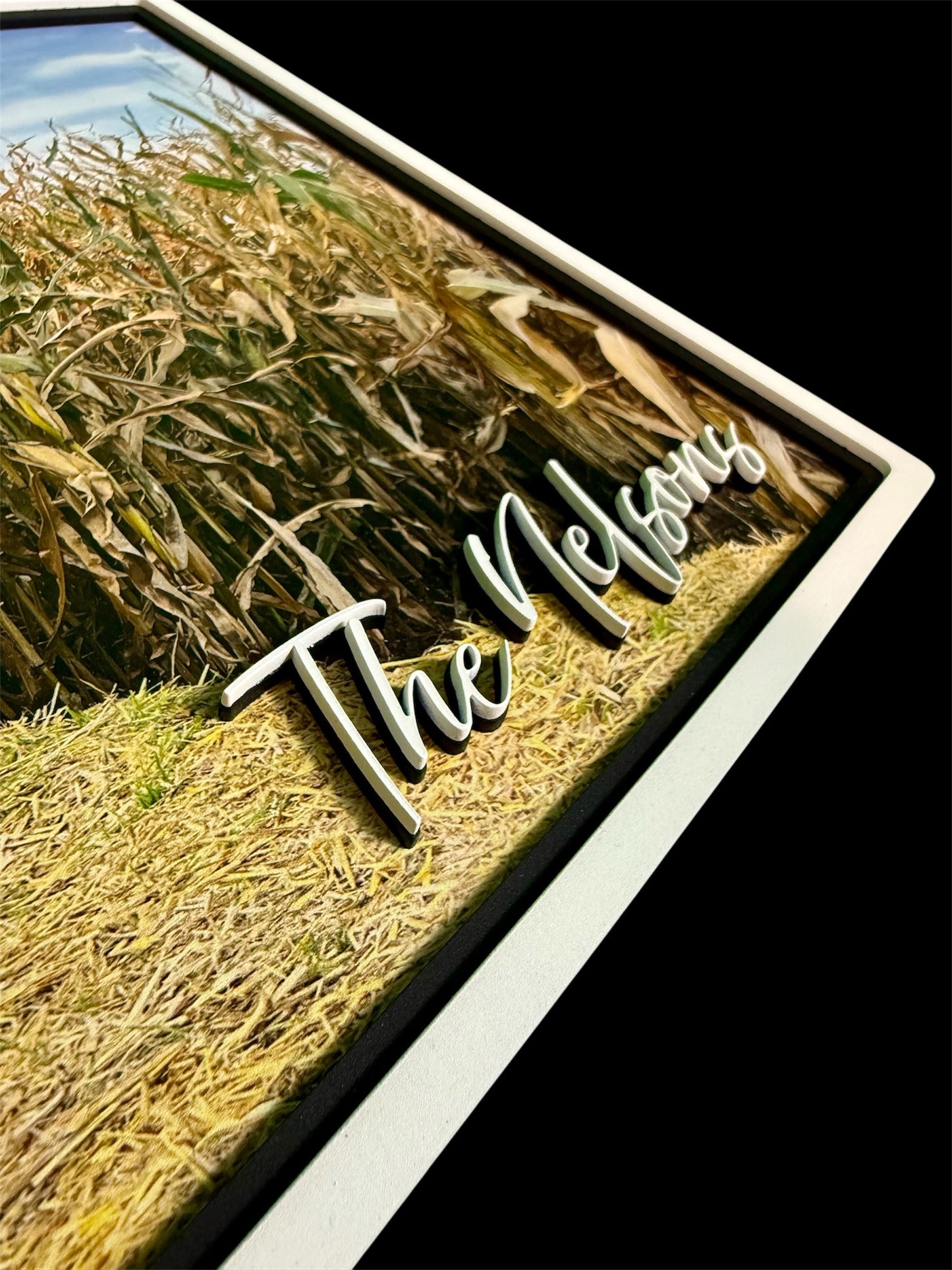 Custom Printed Montana Shaped 3D Signs