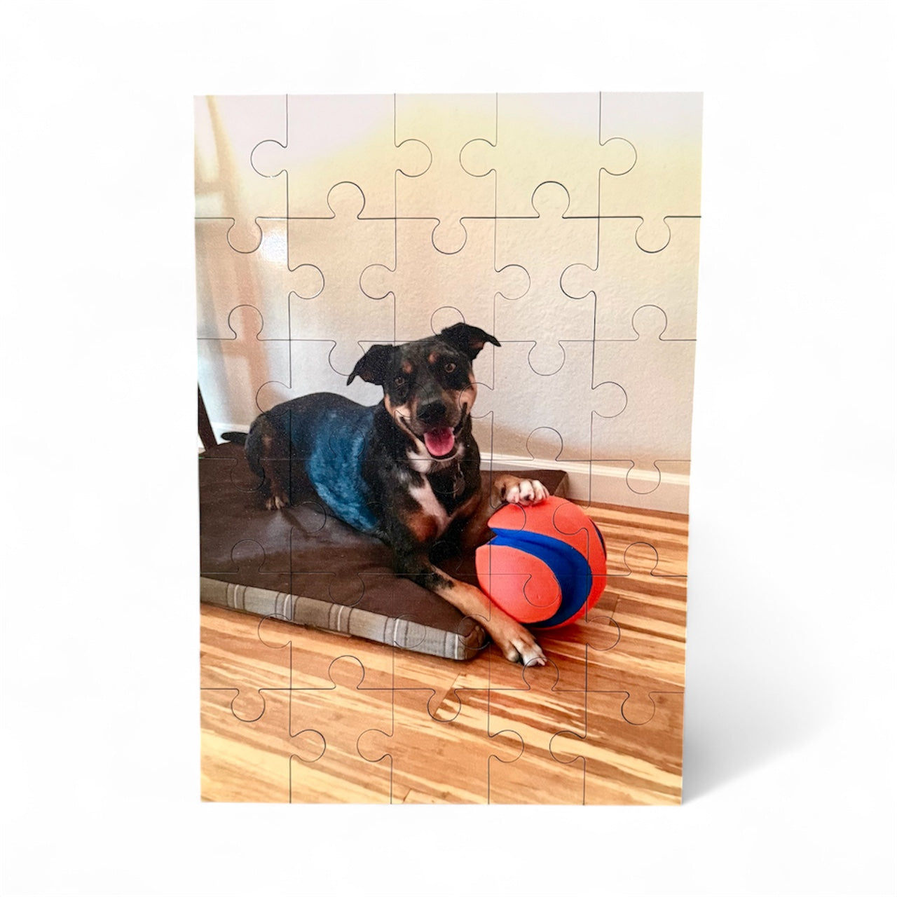 Custom Printed Puzzle